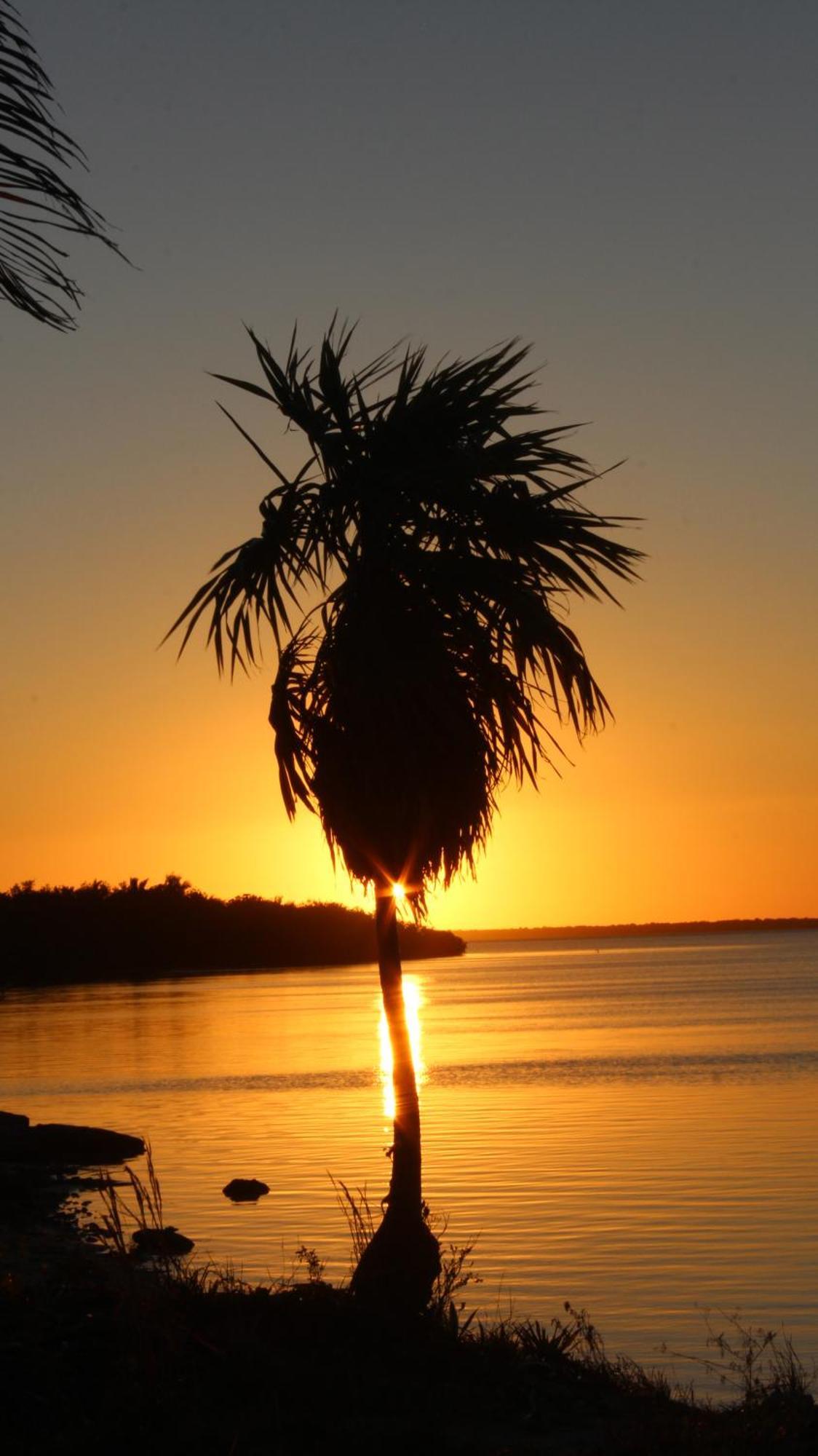 Ikarus Costa Mujeres Eco Lodge Sunset View 칸쿤 외부 사진