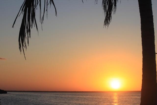 Ikarus Costa Mujeres Eco Lodge Sunset View 칸쿤 외부 사진